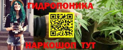 гашик Пыть-Ях